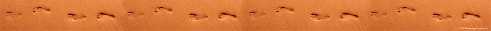 footprintsdesert copy Sunzi footprints