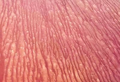Sunzi Tanami Ripple