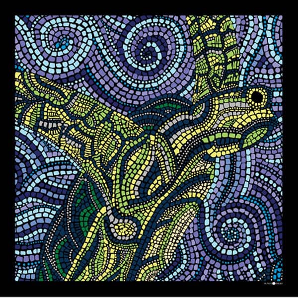 Sunzi Turtles Shawl