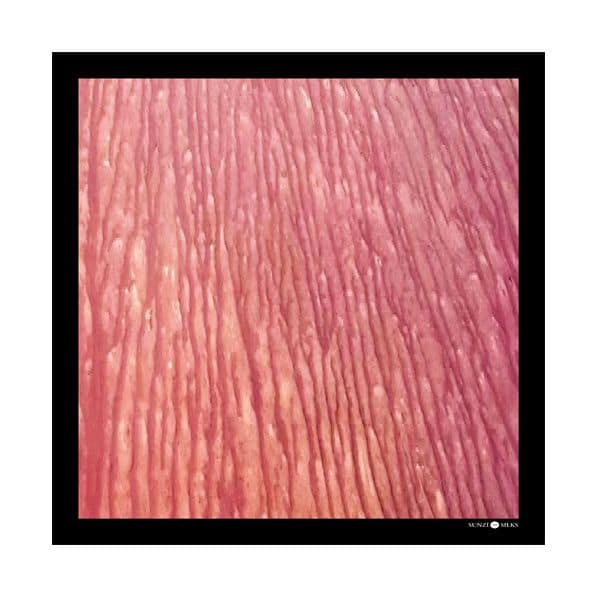 Sunzi Tanami Ripple Square